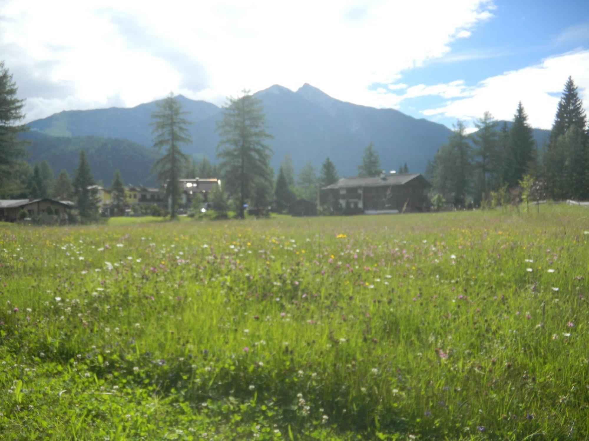 Landhaus Charlotte Am Geigenbuehel -Apartments Seefeld in Tirol Exterior foto